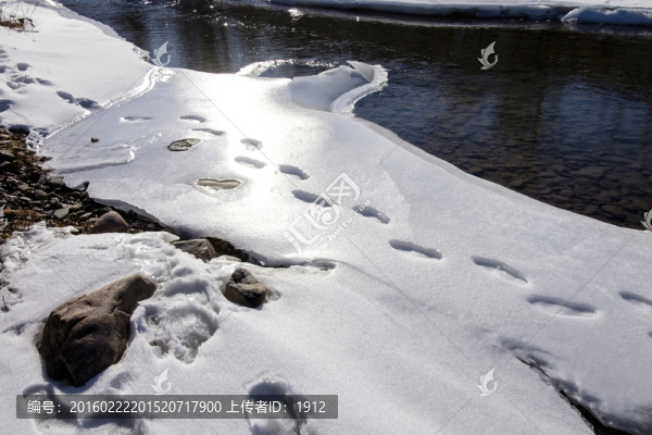 冬雪
