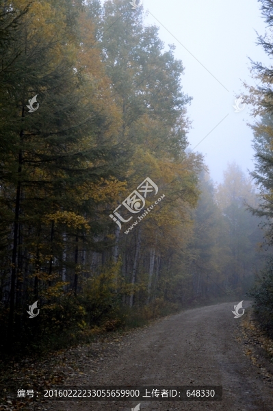 清晨山路