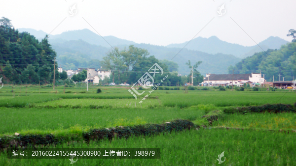 婺源李坑村