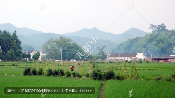 婺源李坑村