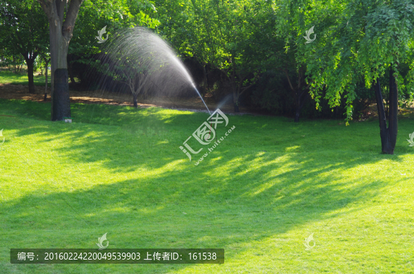 綠草地