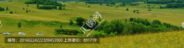 草原