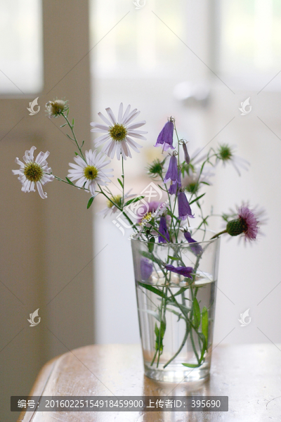清新小花