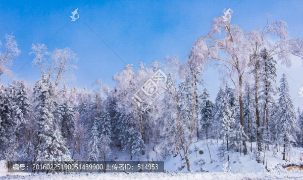雪鄉(xiāng)霧凇