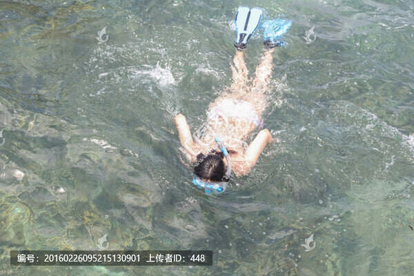 海上浮潛,水面活動(dòng),旅游項(xiàng)目