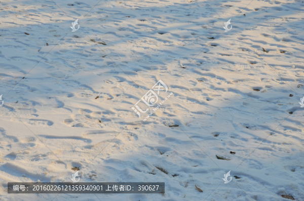 地面積雪