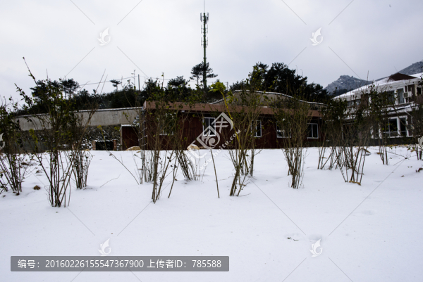 積雪