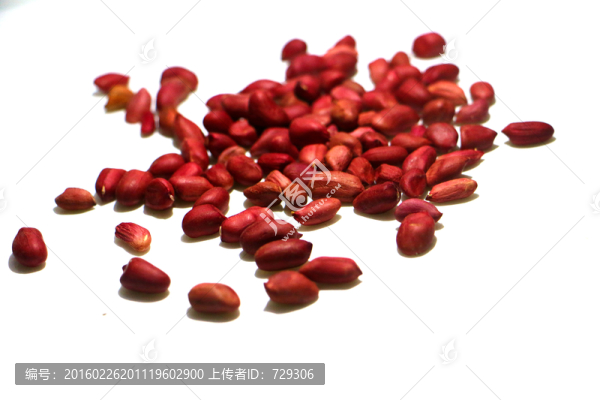 花生米果實(shí)