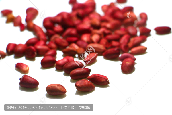 高清花生圖片素材