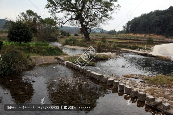 石橋