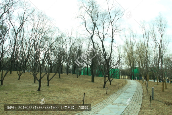 公園小路