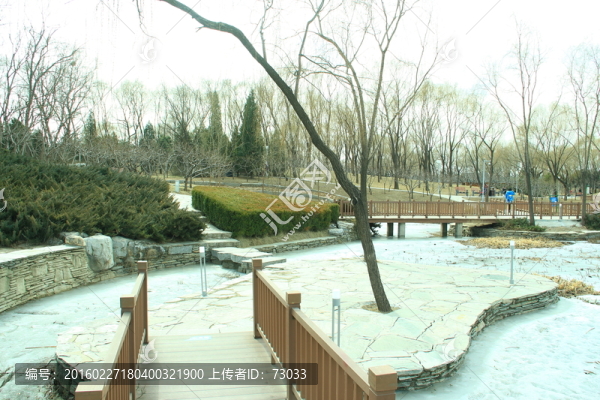 冬季海淀公園