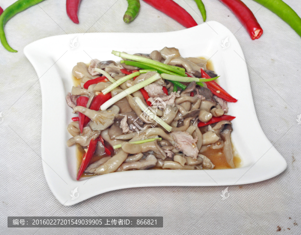 野生菌炒肉
