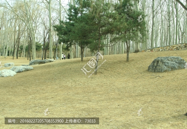 海淀公園