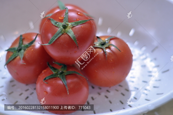 番茄