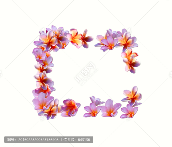 玉蘭花花邊邊框