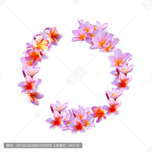 玉蘭花邊框