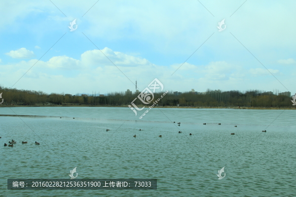 奧林匹克公園湖泊