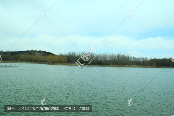 奧林匹克公園湖水