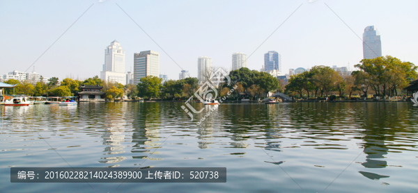 城市,園林,休閑