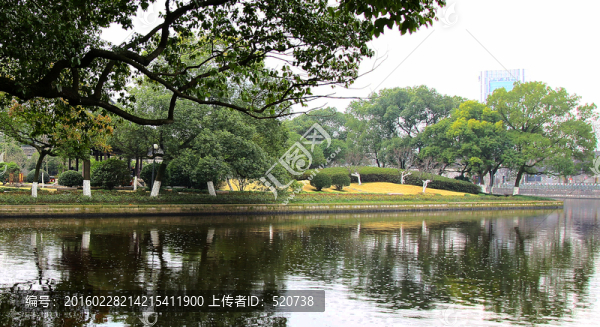 城市,園林,休閑