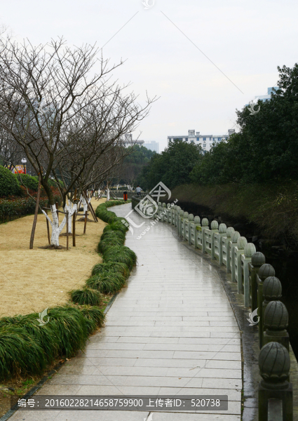 城市,園林,休閑