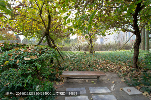 植物園風(fēng)景