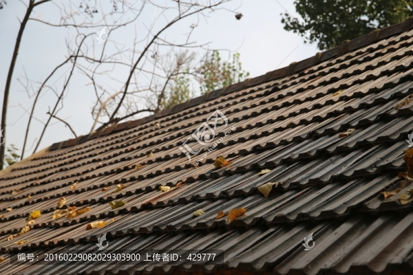 瓦,房頂