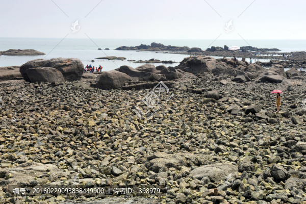 青島海濱風景