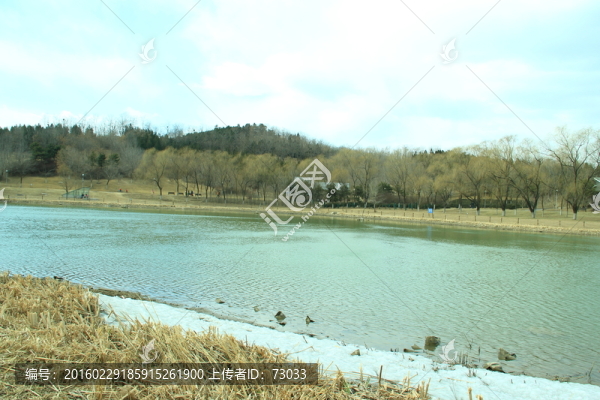 冬季水庫