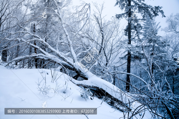 雪山