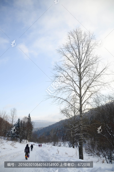 雪山里