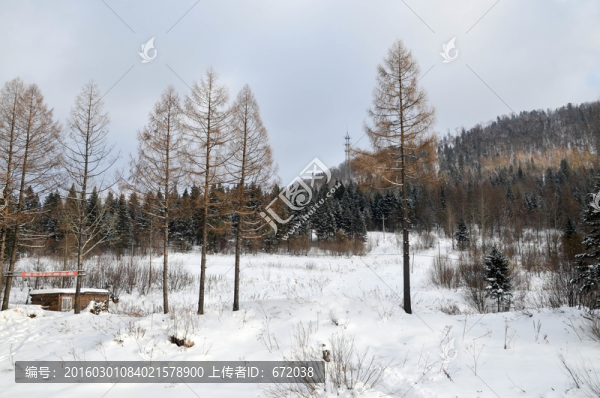 雪山里