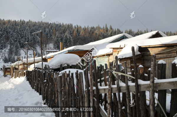 雪山里