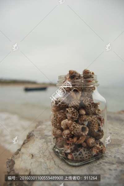 海螺