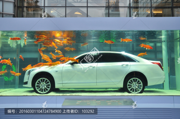 水中創(chuàng)意車展
