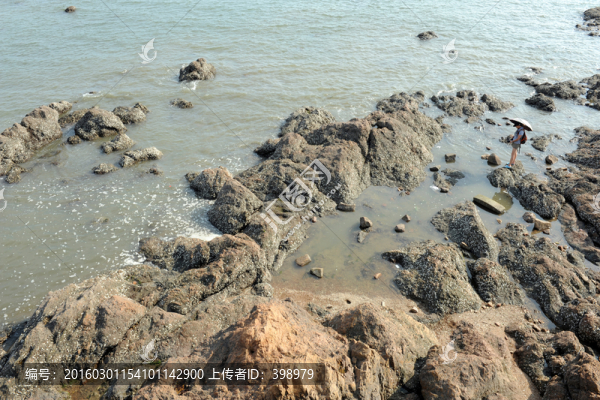 海濱風(fēng)景