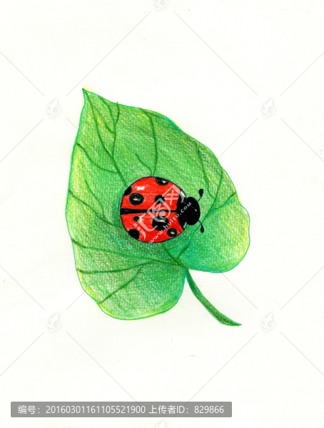 插畫(huà)