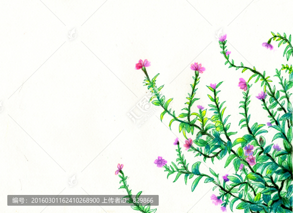 花邊
