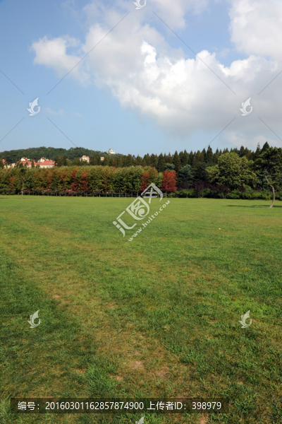 青島中山公園草坪