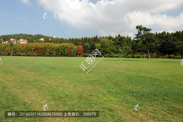 青島中山公園草坪