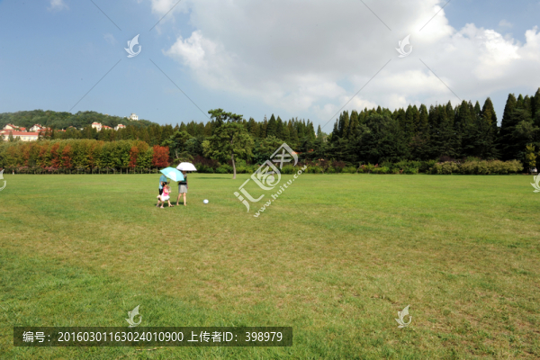 青島中山公園草坪