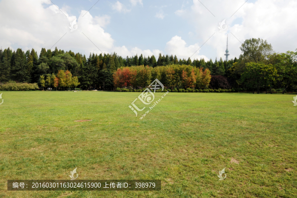 青島中山公園草坪