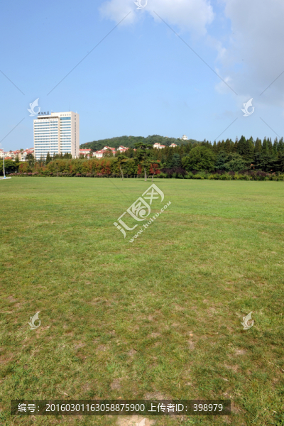 青島中山公園草坪