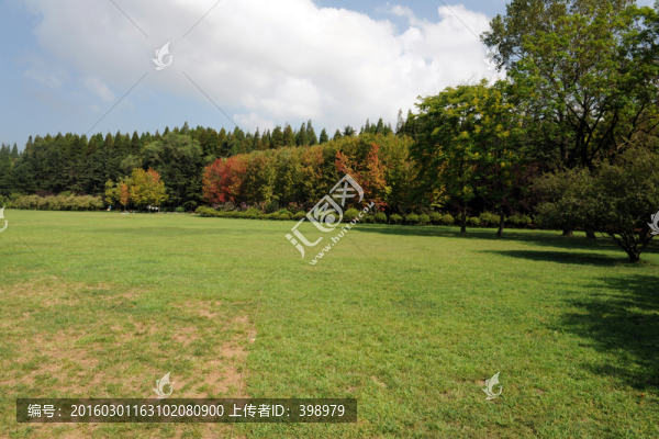 青島中山公園草坪