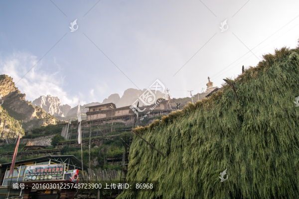 札尕那風(fēng)光