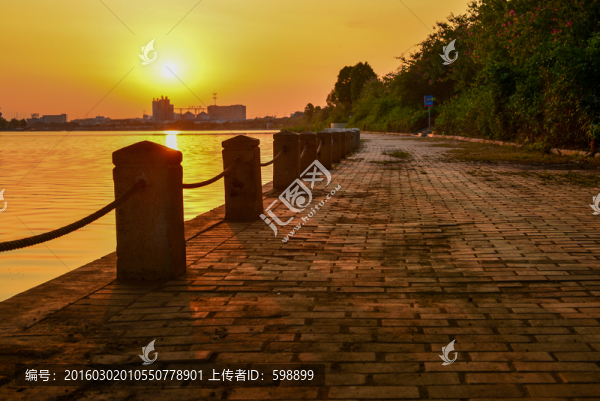 金色河岸