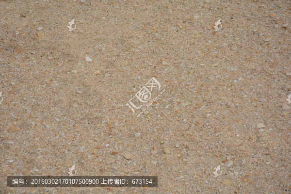 貝殼堤島