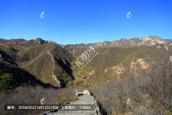 北京,黃花水長(zhǎng)城
