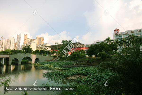景觀園林